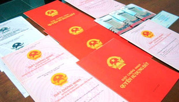 Bắt tạm giam kế toán trưởng một sở vì tham ô tài sản ảnh 1