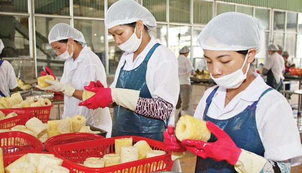 Điều lệ công ty trái luật, trách nhiệm của cơ quan quản lý ở đâu? ảnh 1