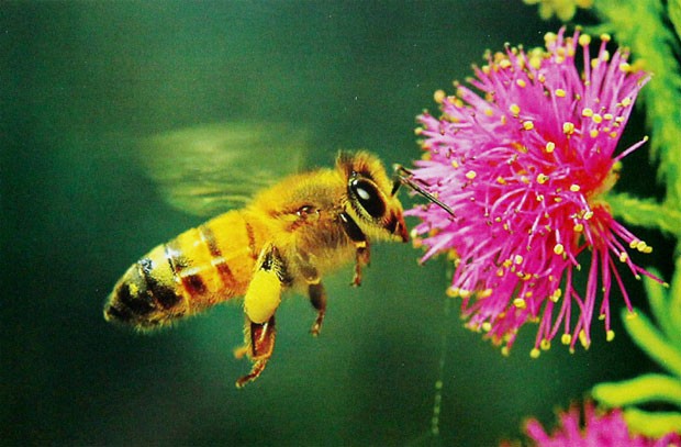 Dấu ấn mùa báo cáo thường  niên 2013 ảnh 1