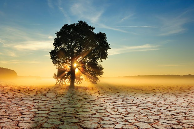 TDH sẽ điều chỉnh căn hộ lớn sang căn hộ nhỏ ảnh 1 TDH sẽ điều chỉnh căn hộ lớn sang căn hộ nhỏ ảnh 1