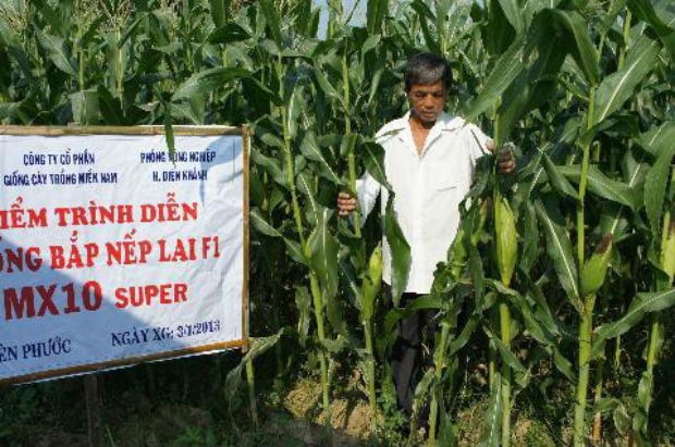 Tình hình kinh doanh của 10 công ty Việt "tốt nhất châu Á" ảnh 8