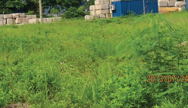 "Chuyện lạ" ở một dự án nhà ở xã hội ảnh 1