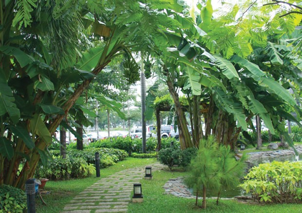 Dragon City, nơi giá trị mãi sinh sôi ảnh 2 Dragon City, nơi giá trị mãi sinh sôi ảnh 2