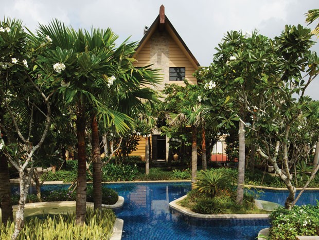 Sống xanh cùng Dragon City ảnh 2