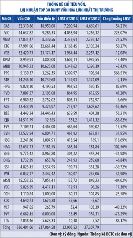 6 tháng, 30 DN lớn nhất lãi hơn 32.800 tỷ đồng ảnh 2 6 tháng, 30 DN lớn nhất lãi hơn 32.800 tỷ đồng ảnh 2