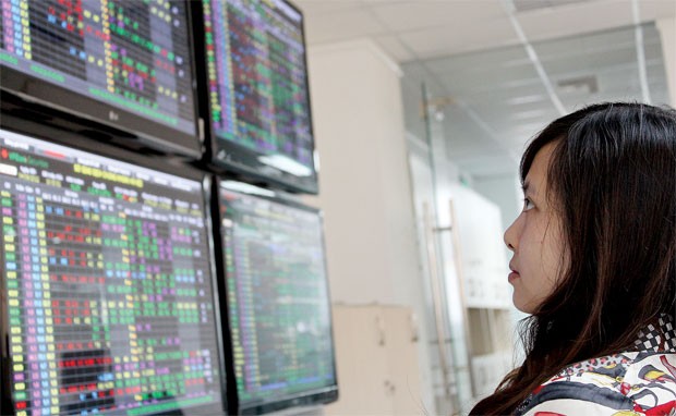 Vốn lớn, DN thường minh bạch hơn ảnh 1