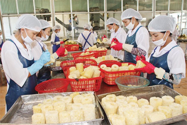 Vĩ mô đối mặt với thách thức kép ảnh 1