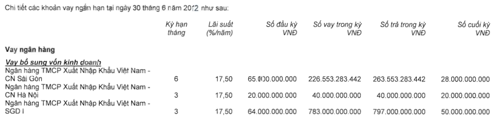 VDS: cổ đông lớn EIB cho vay ngắn hạn hàng nghìn tỷ đồng ảnh 2