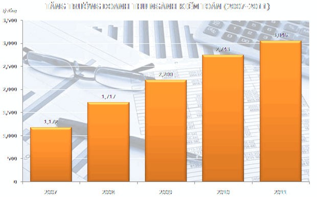 Diện mạo mới của ngành kiểm toán độc lập ảnh 2 Diện mạo mới của ngành kiểm toán độc lập ảnh 2