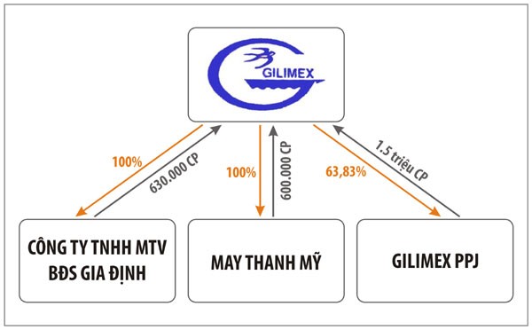 Sở hữu chéo và những câu hỏi ảnh 2