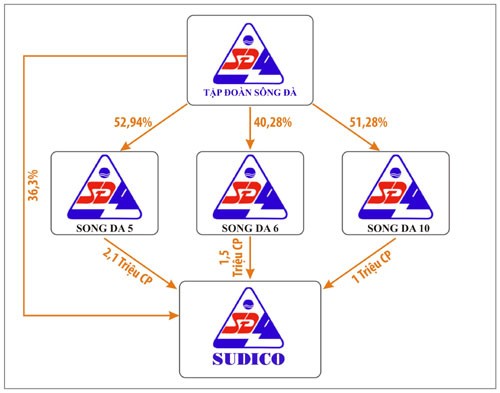Sở hữu chéo và những câu hỏi ảnh 3