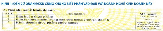 Đổi mới hoạt động ĐKKD và dịch vụ hỗ trợ doanh nghiệp ảnh 2