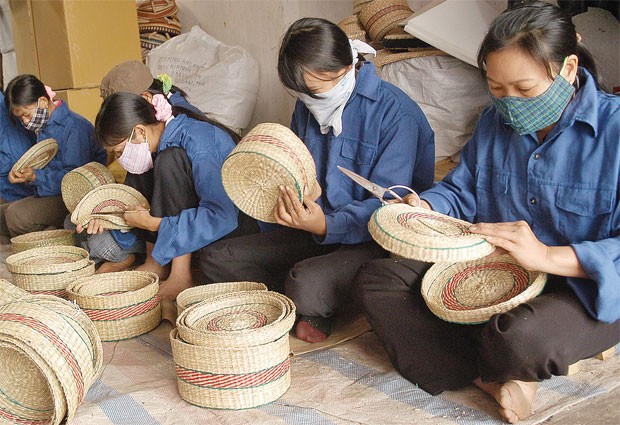 99% doanh nghiệp có nguy cơ phá sản ảnh 1