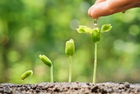 AI NEWS - Nền tảng tin tức chứng khoán