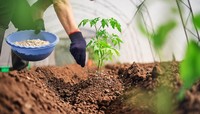 AI NEWS - Nền tảng tin tức chứng khoán