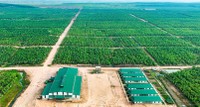 AI NEWS - Nền tảng tin tức chứng khoán