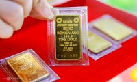 AI NEWS - Nền tảng tin tức chứng khoán