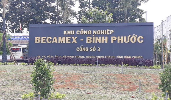 AI NEWS - Nền tảng tin tức chứng khoán