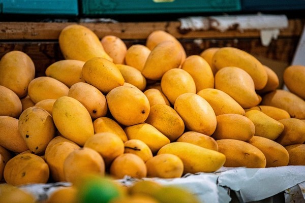 AI NEWS - Nền tảng tin tức chứng khoán
