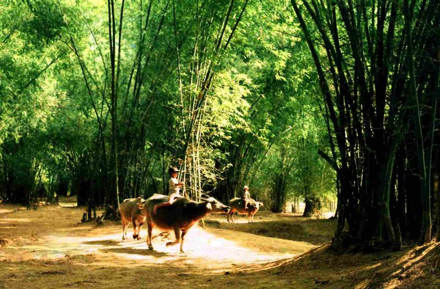 6 địa danh nhuốm màu thời gian trên đất Việt ảnh 4