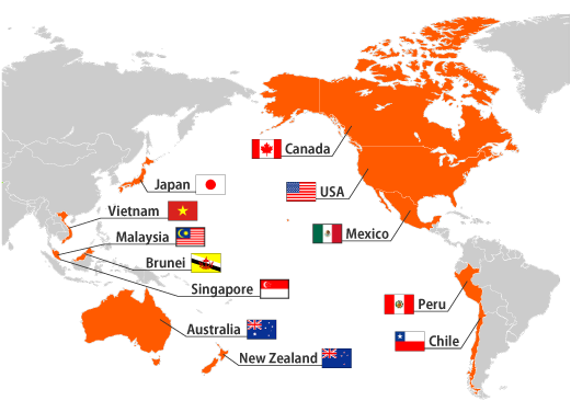 Mỹ tuyên bố rút khỏi TPP ảnh 1