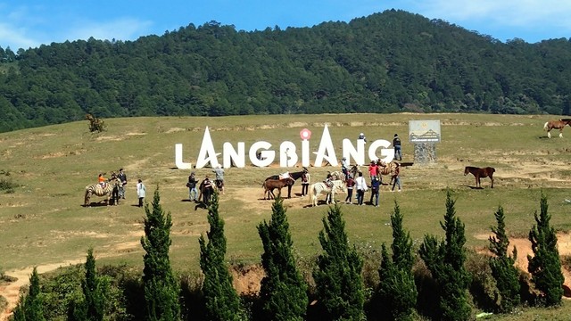 Những cao nguyên đẹp mê hồn ở Việt Nam ảnh 7