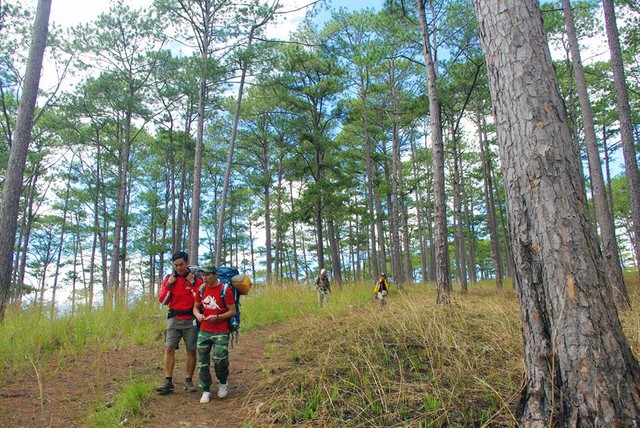 Trekking trên "nóc nhà Tây Nguyên" Bidoup ảnh 4