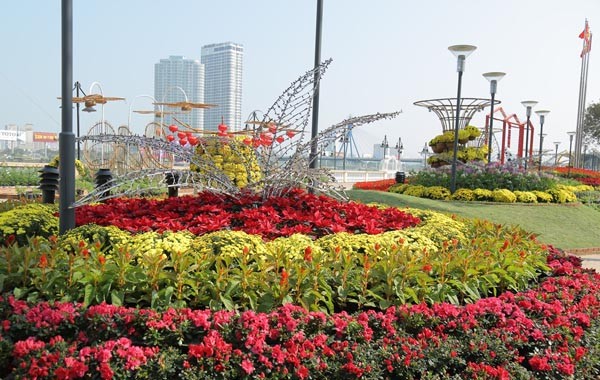 Đà Nẵng: Đường hoa “Xuân sắc màu” và 3 điểm bắn pháo hoa phục vụ Tết ảnh 3