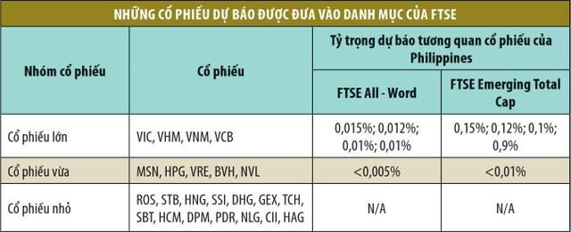 Cơ hội nâng hạng, đón vốn mới của chứng khoán Việt ảnh 4