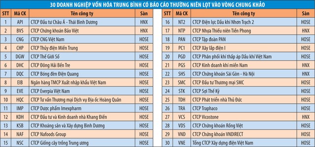 Công bố các doanh nghiệp vào Chung khảo Cuộc bình chọn Doanh nghiệp niêm yết 2018 ảnh 2