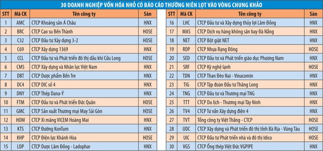 Công bố các doanh nghiệp vào Chung khảo Cuộc bình chọn Doanh nghiệp niêm yết 2018 ảnh 3
