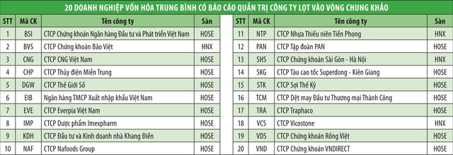 Công bố các doanh nghiệp vào Chung khảo Cuộc bình chọn Doanh nghiệp niêm yết 2018 ảnh 5