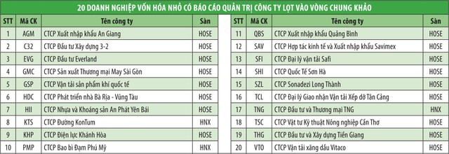 Công bố các doanh nghiệp vào Chung khảo Cuộc bình chọn Doanh nghiệp niêm yết 2018 ảnh 6