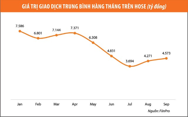Làm gì khi VN-Index tuột mốc 1.000 điểm? ảnh 2