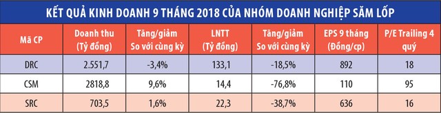 Cổ phiếu săm lốp: Triển vọng dần sáng ảnh 1