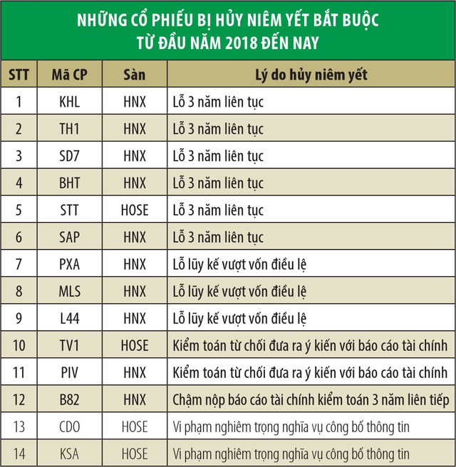 Cuộc đào thải những cổ phiếu kém chất lượng ảnh 1