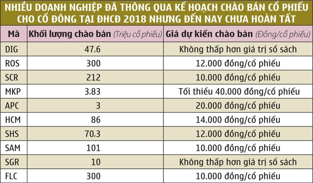 Chờ đợi mùa đại hội 2019 “chất hơn” ảnh 1