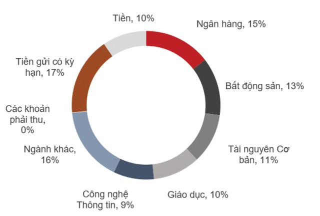 NAV của Quỹ đầu tư cổ phiếu Techcom giảm gần 13% ảnh 1