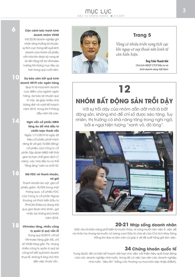 Đầu tư Chứng khoán số 132/2019 ảnh 1