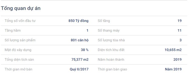 LDG Group có đạt mục tiêu lợi nhuận đã đề ra năm 2019? ảnh 2