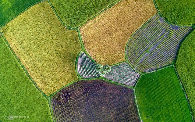 'Bức họa đồng quê' Tà Pạ nhìn từ trên cao ảnh 3