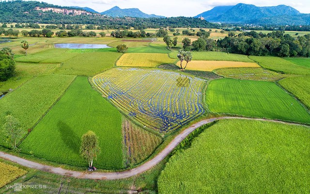 'Bức họa đồng quê' Tà Pạ nhìn từ trên cao ảnh 5
