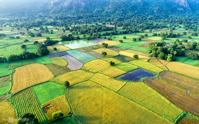 'Bức họa đồng quê' Tà Pạ nhìn từ trên cao ảnh 6