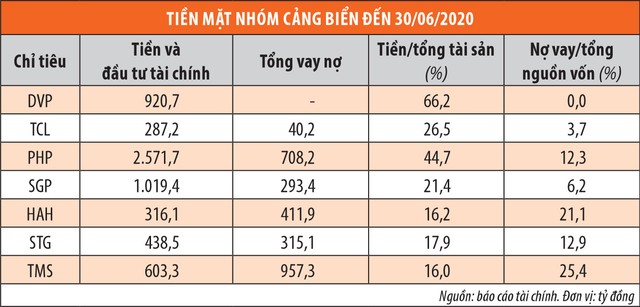 Cổ phiếu cảng biển, tìm cơ hội trong thách thức ảnh 2