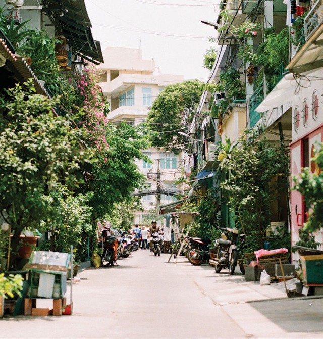 “Ngõ nhỏ, phố nhỏ, nhà tôi ở đó” ảnh 3