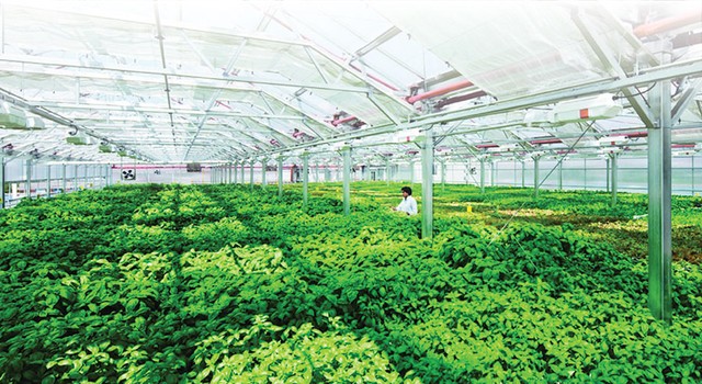 Agribank: Chỉ nhận được ưu ái từ phía khách hàng ảnh 2