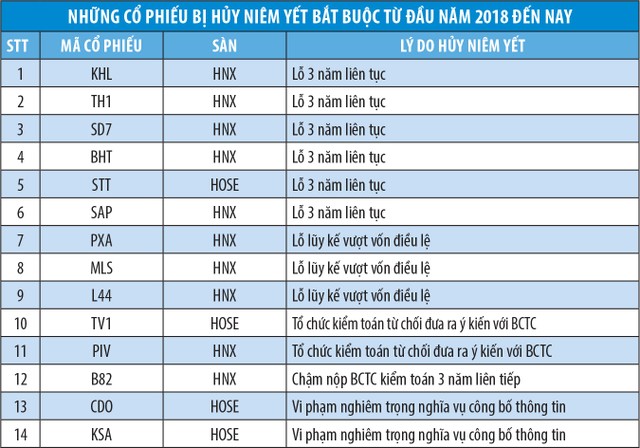Cuộc đào thải những cổ phiếu kém chất lượng ảnh 2