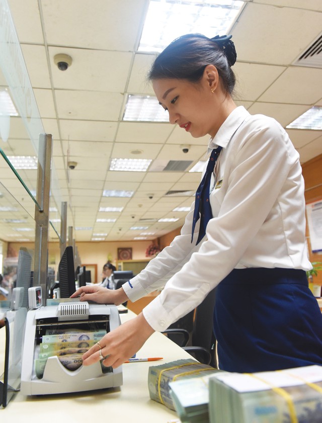 Khơi nguồn tín dụng đúng lĩnh vực trọng tâm ảnh 2