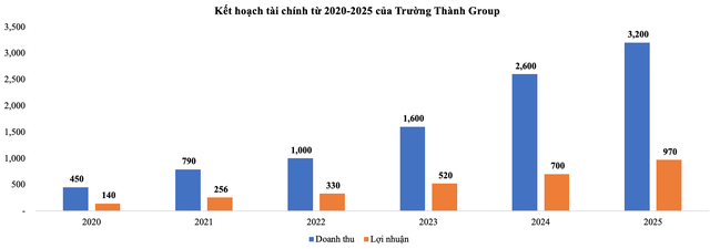 Trường Thành Group (TTA) sẽ đẩy mạnh phát triện điện gió và điện mặt trời 2020-2025 ảnh 2