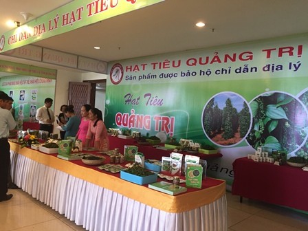 Hạt tiêu Quảng Trị được chỉ dẫn địa lý ảnh 1